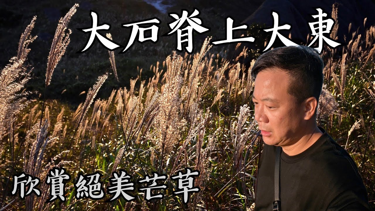 【Hiking@HK】大石脊上大東｜欣賞絕美芒草【字幕】中級路線｜禾寮墩｜石獅山｜黃龍坑郊遊徑