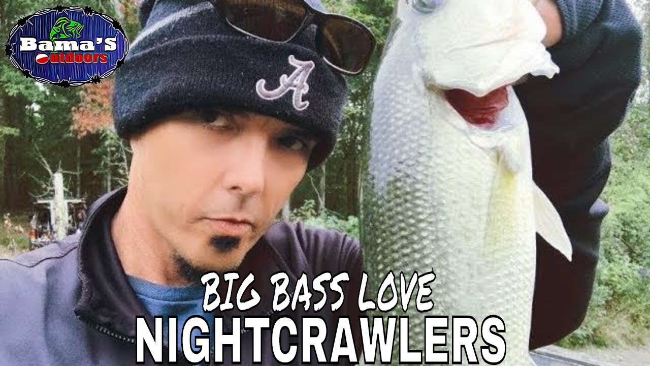 NIGHTCRAWLER Fishing For BIG BASS! Fishing with Live Bait