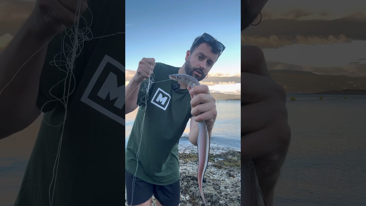 Rescatando un congrio