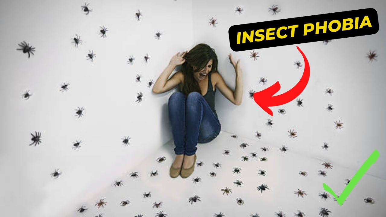 5 Steps To Overcome Insect Phobia