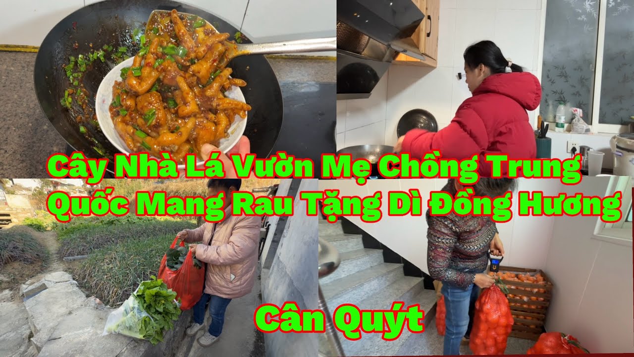 244🇨🇳🇻🇳Mẹ Chồng Trung Quốc Mua Quýt Tặng Người Ta Mà Ăn Quá Giờ Thiếu Nên Giờ Phải Cân Lại Trả Hihi 
