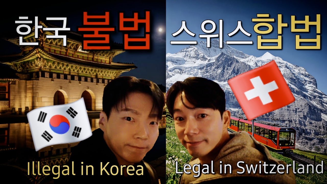스위스🇨🇭에서 결혼한 합법부부🇰🇷한국가면 생기는일 Ep.1 