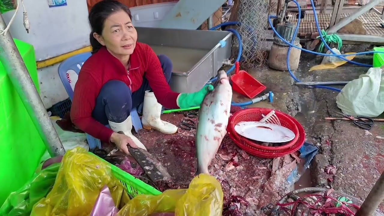 Chợ Kiệu lớn nhât Sai Gòn, thịt cá bò gà rau cú quả ê hê, rẻ quá rẻ, không ghé là tiếc lắm luôn