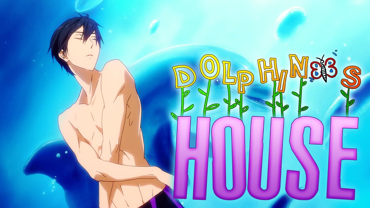 Dolphin's House ⌈Free! AMV⌋