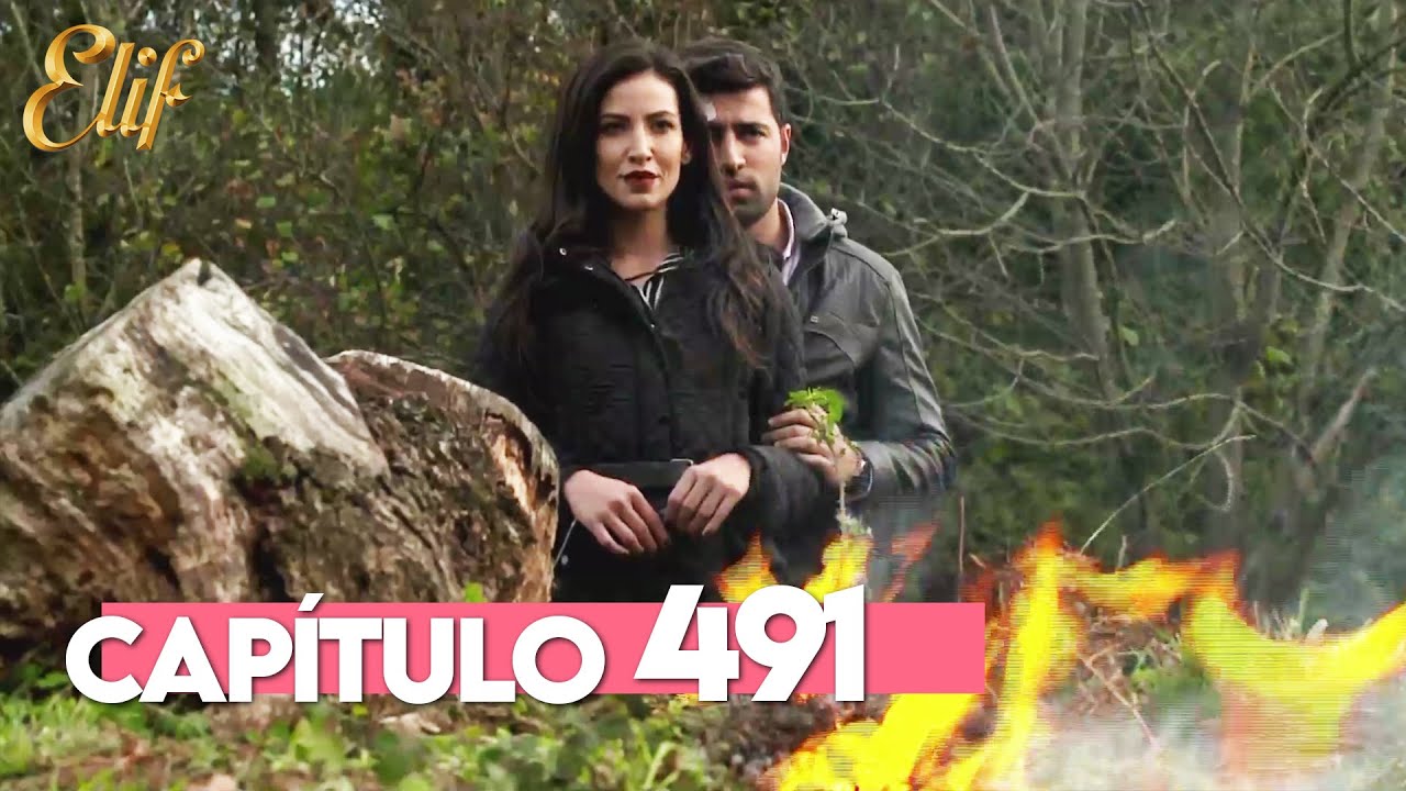 Elif Tercera Temporada Capítulo 491 | Elif Capítulo 491