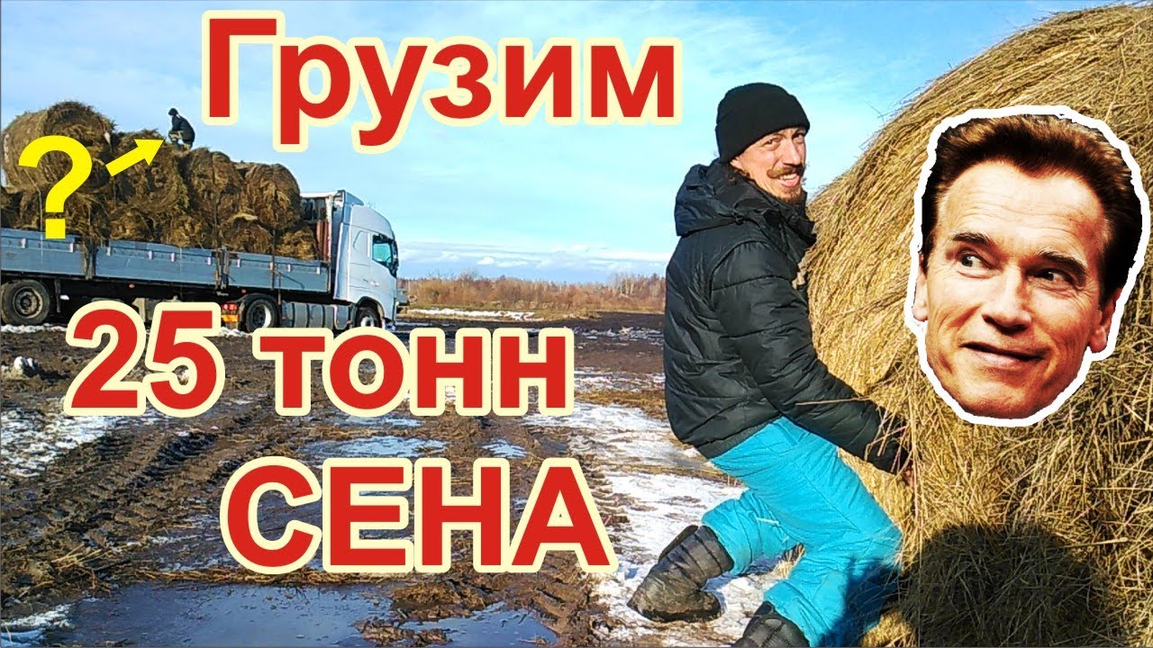Что он делает наверху? Сколько весит рулон? Как погрузить и увезти 25 тонн сена? Грузим сено, много.