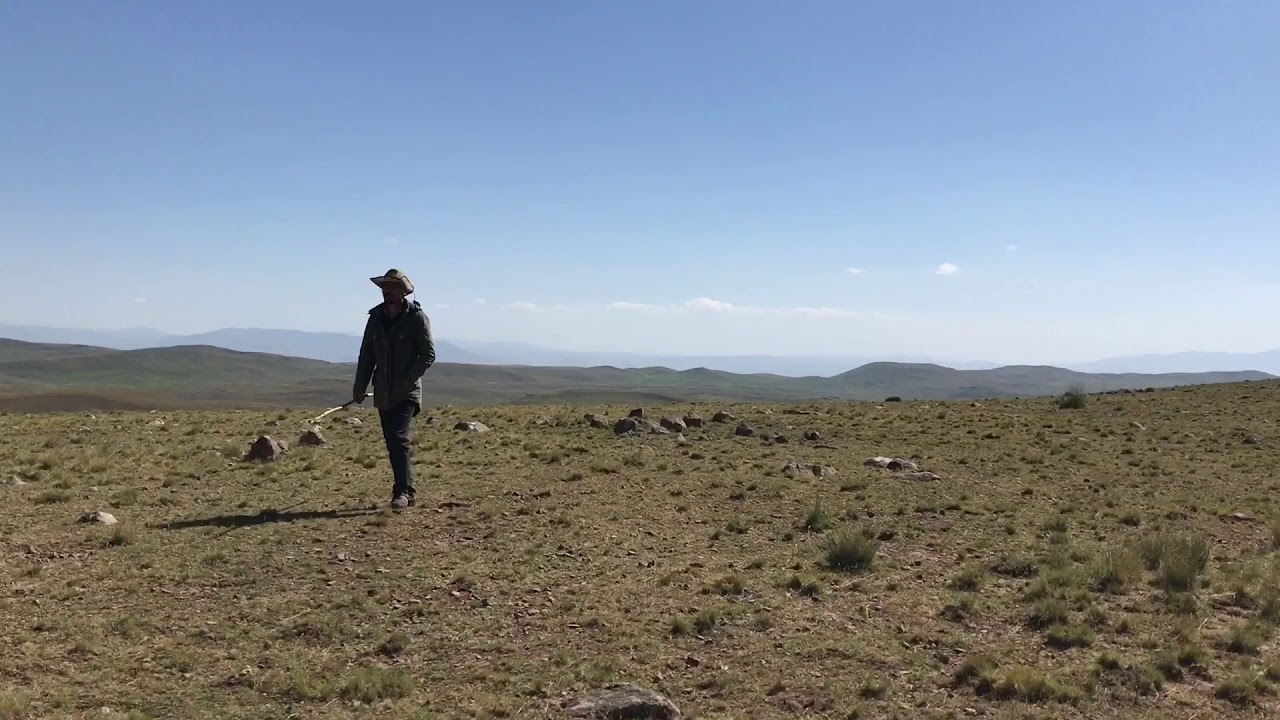 Ağrı sinek yaylası