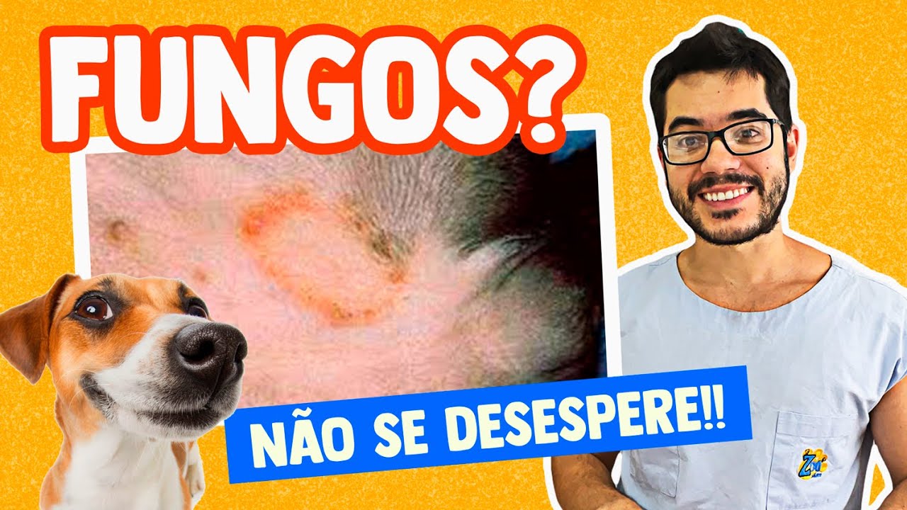 CACHORROS e GATOS com FUNGO! PEGA EM HUMANOS? Passa de um ANIMAL PARA O OUTRO? Entenda com DETALHES!