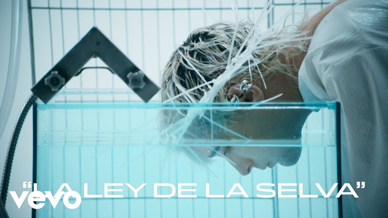 Benito Cerati, Dante Bruni - La Ley de la Selva (Official Video)