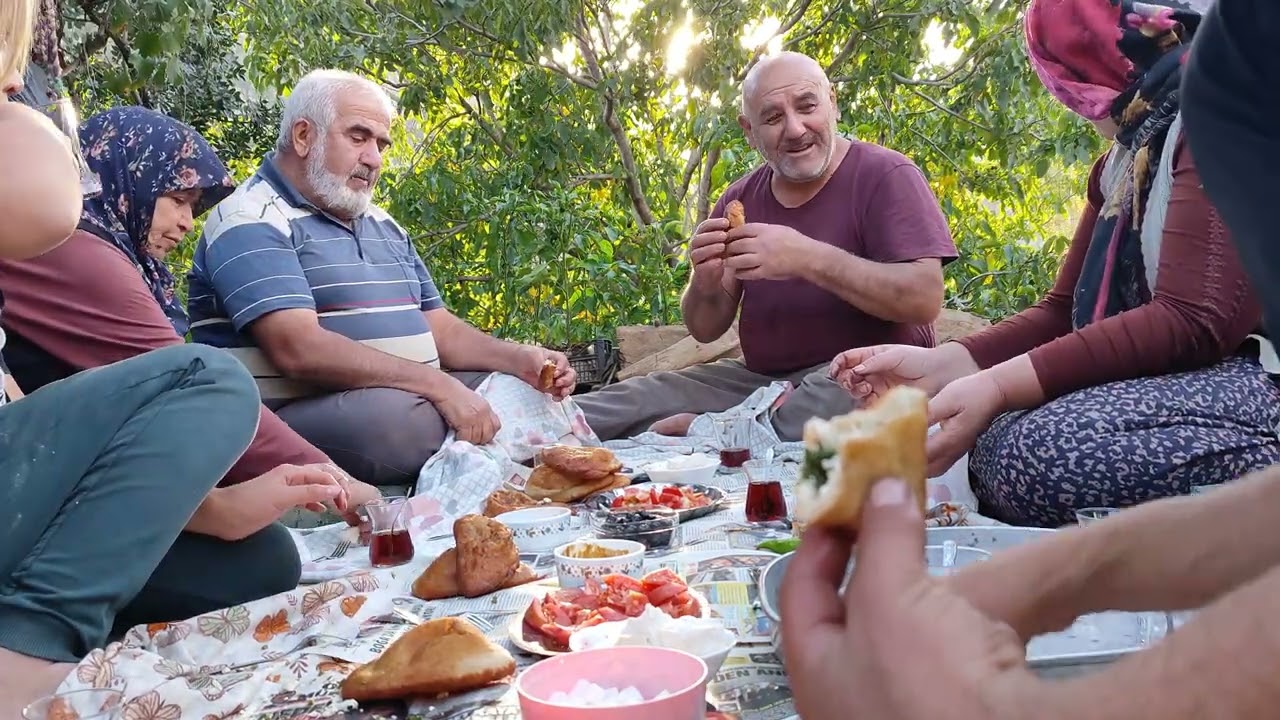 FASULYE DE VERİM DÜŞÜK/DAMDA KOMŞULAR İLE  PİŞ KEYFİ/KAHVALTI GÜNLÜK KÖY İŞLERİ
