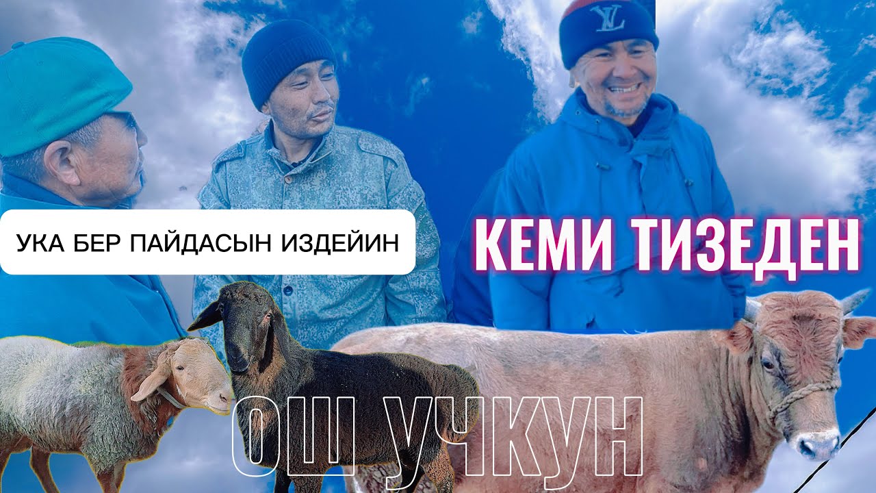 22.02.26ж ОШ УЧКУН БАЗАР МАЛ АРЗАНДАЙ ТУШТУ