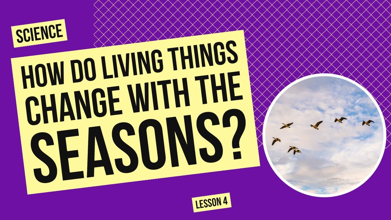 How Do Living Things Change with the Seasons? | Science Lesson