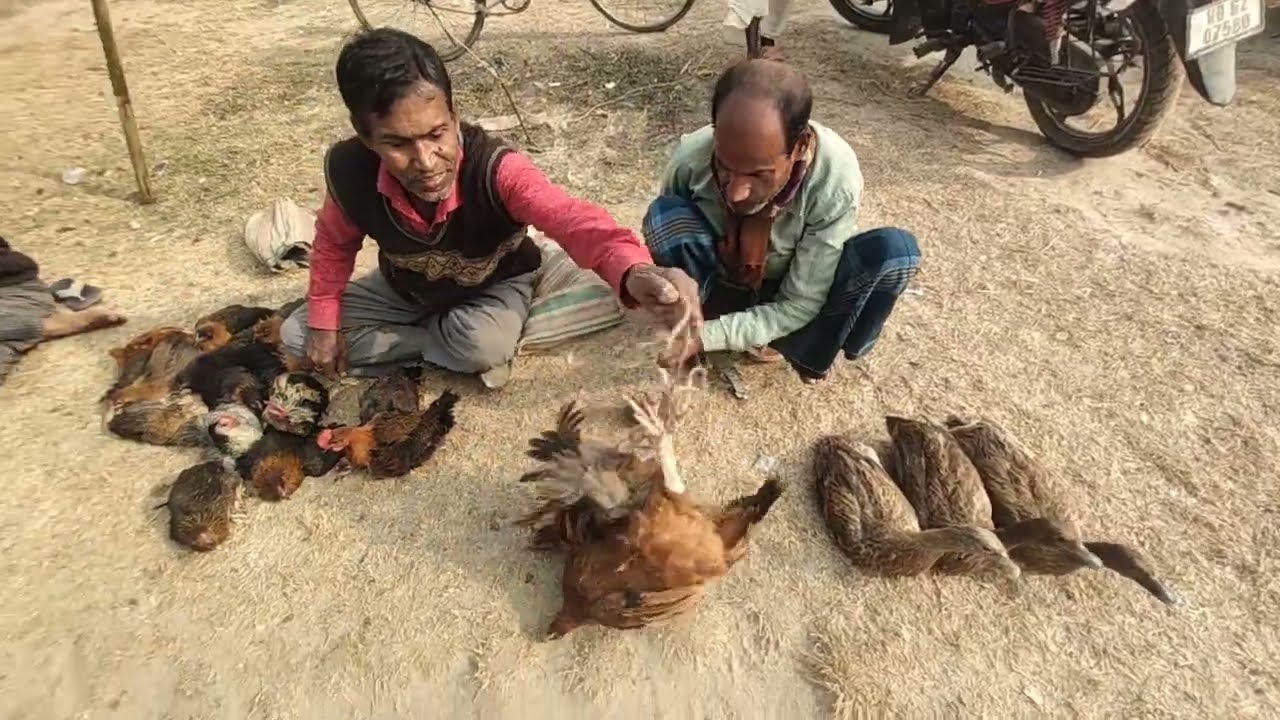গ্ৰামের বাজারে মুরগি কিনতে গিয়ে,, আজ যা ঘটল। Village blogs / Market video 