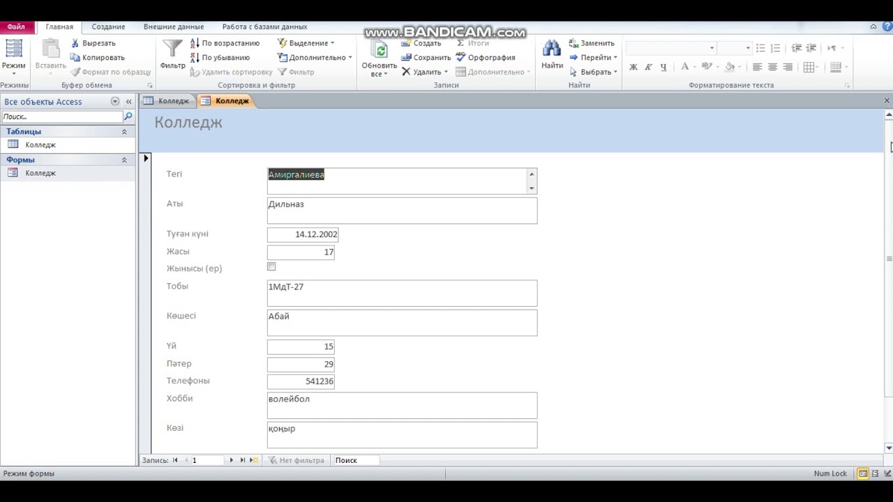 MS Access бағдарламасында сұраныс және есеп құру
