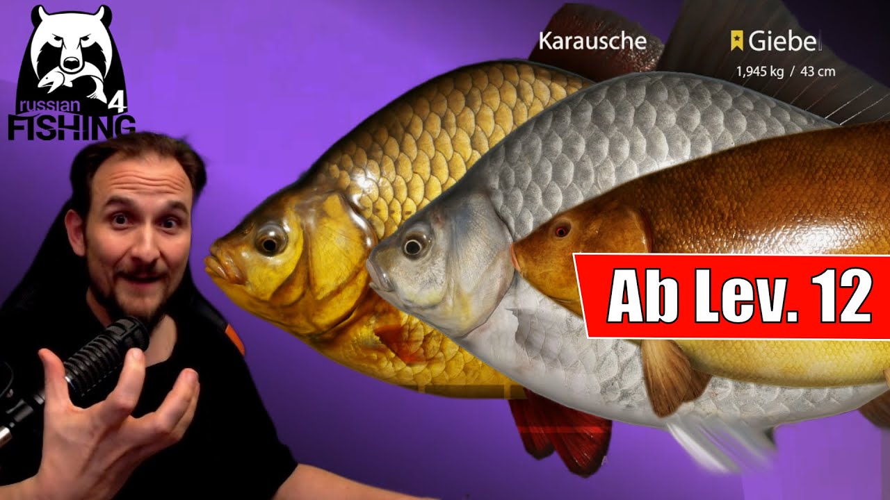 Russian Fishing 4 - Alte Festung - Massen Spot! Ab Level 12