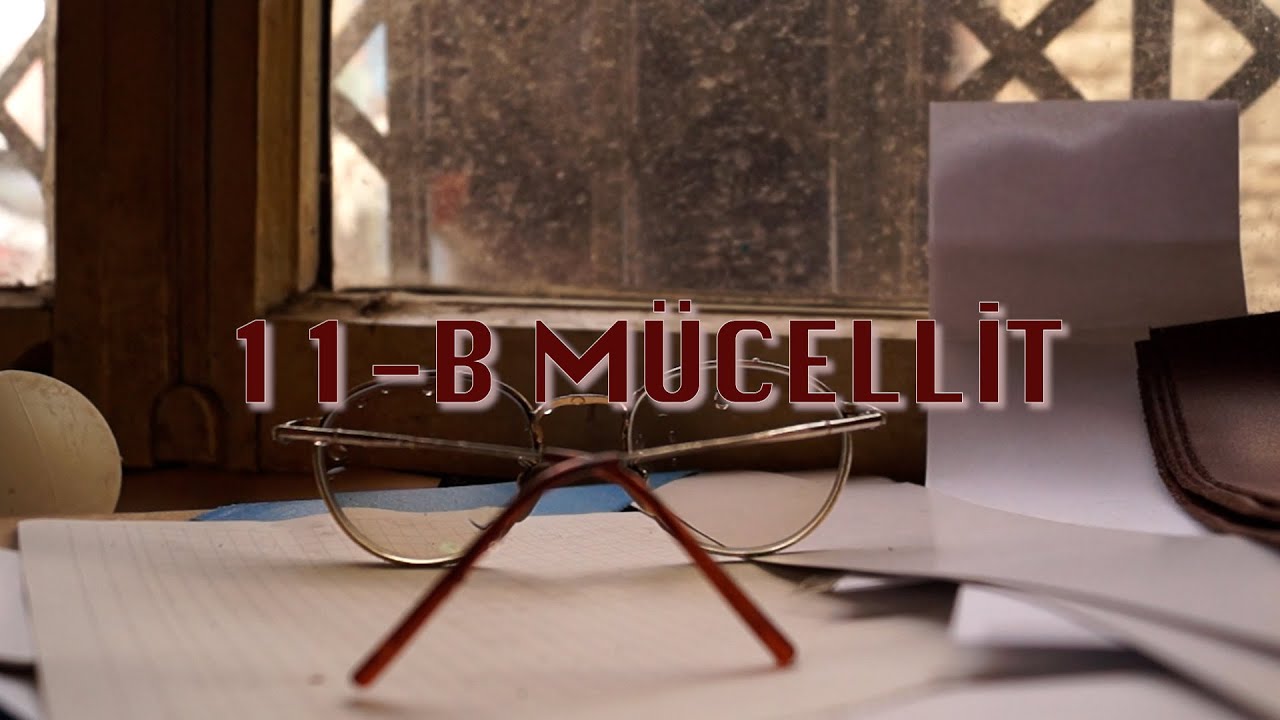 11-B Mücellit