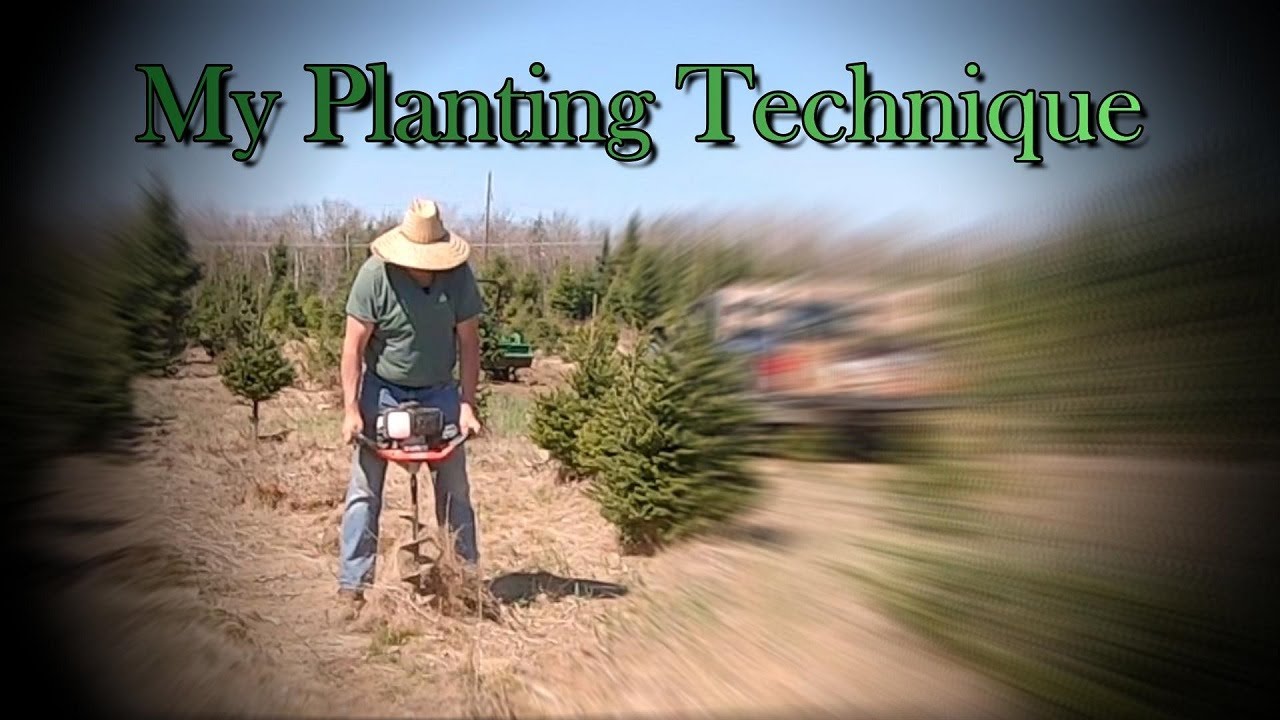 Interplanting With the Auger