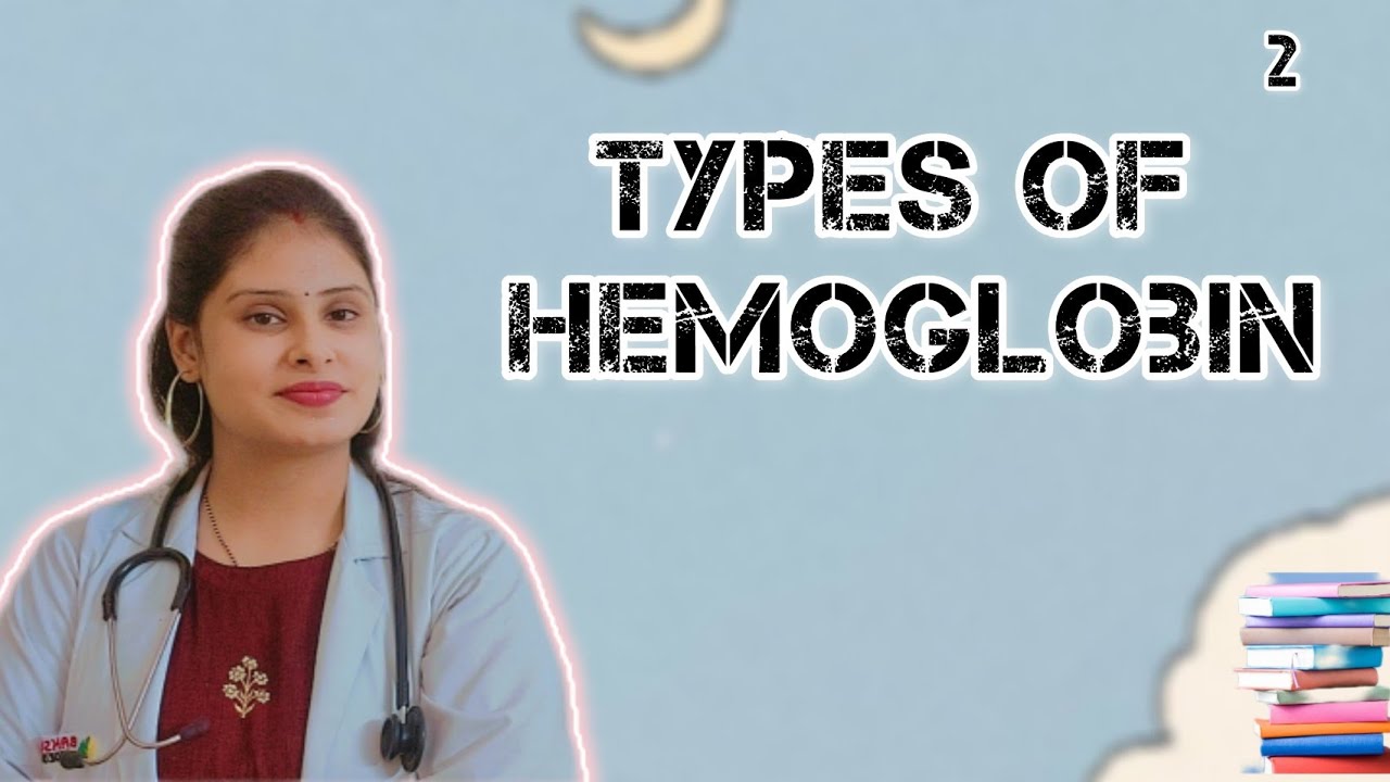 Types Of Hemoglobin | Difference between adult and fetal hemoglobin |Human Physiology
