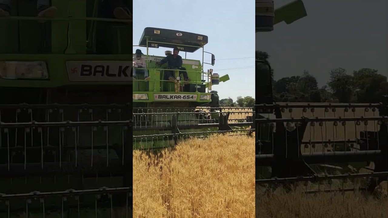 Balkar combine harvester