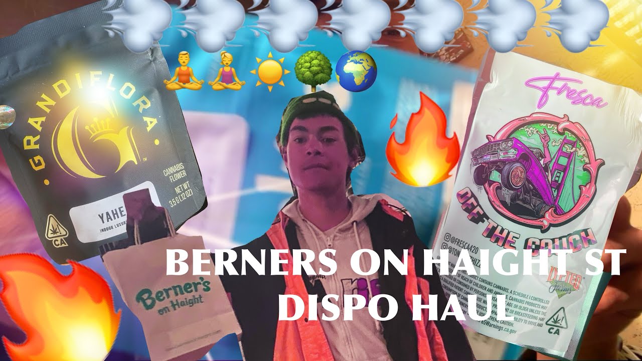 Berners on Haight St. Dispo Haul 🔥💨