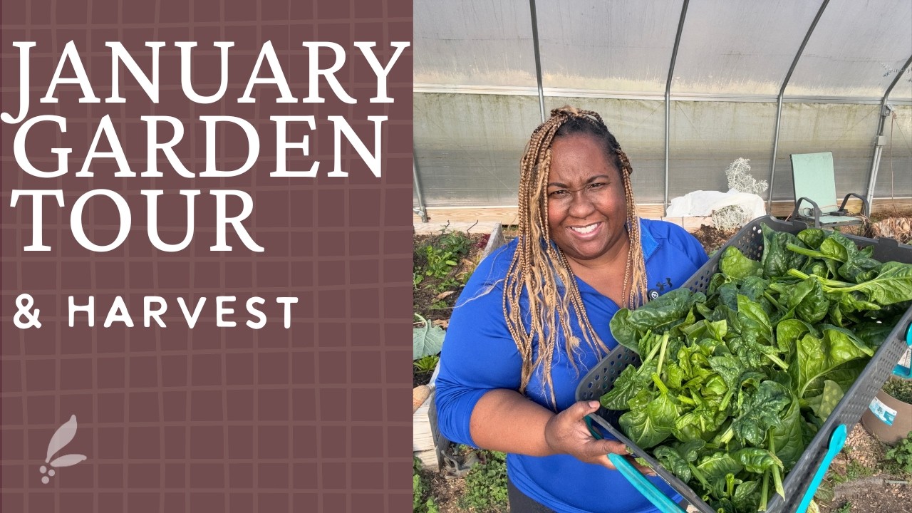January Garden Tour & Harvest| Zone 7