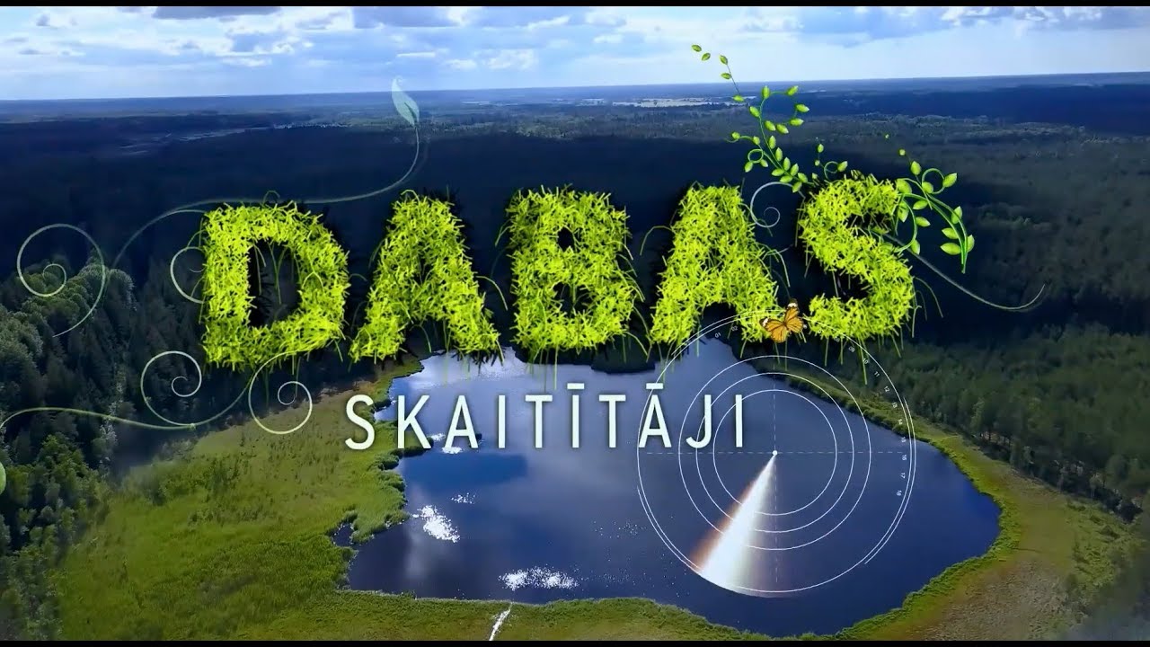 Dokumentālā filma 