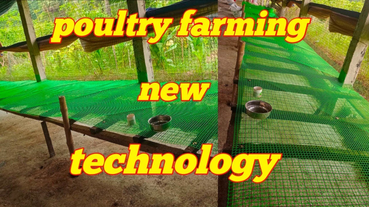 Poultry farming new technology, Poultry farming karne ka naya tarika