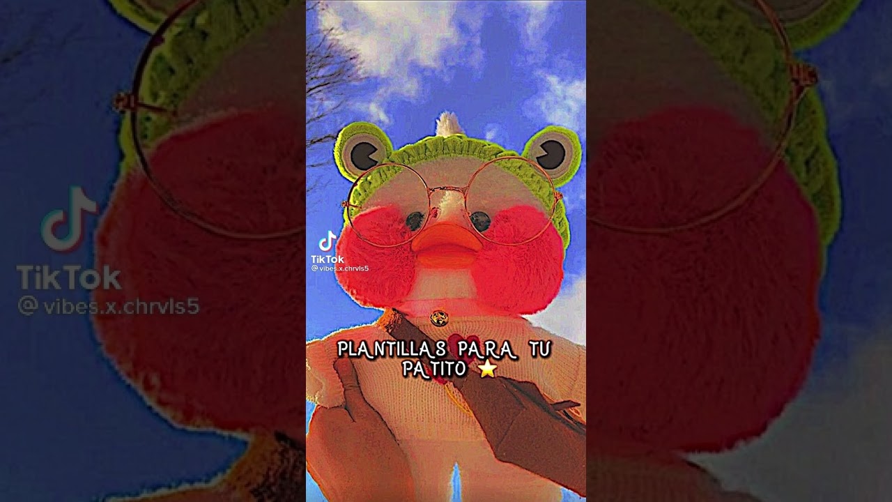 cosas para tu patito de papel ✨🙂✌️