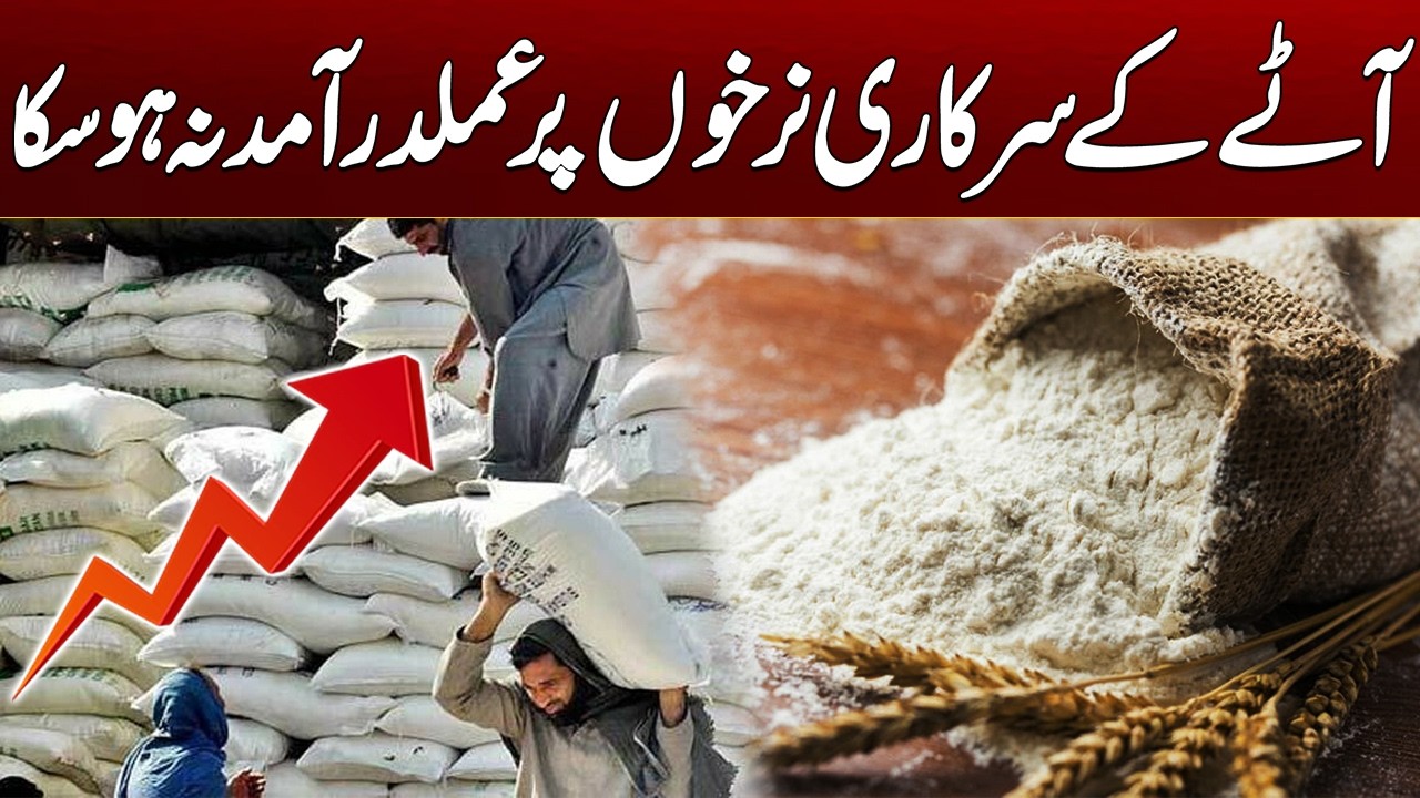Official Flour Prices Could Not Be Implemented | Breaking News | City 21