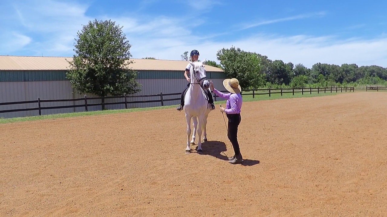 Leah and Merlin June 2019