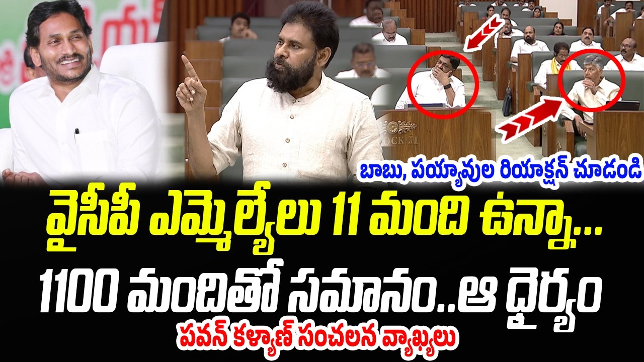 వైసీపీ ఎమ్మెల్యేలు 11 మంది ఉన్నా.. 1100 మందితో సమానం.. ఆ ధైర్యం | Pawan Kalyan | Praja Chaithanyam