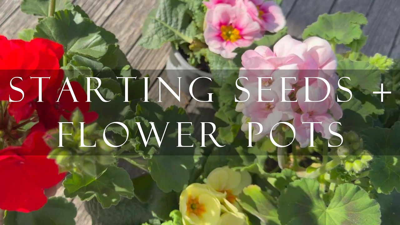 Spring Gardening Day: Flower Arrangements + Seed Starting for Tomatoes & Flowers
