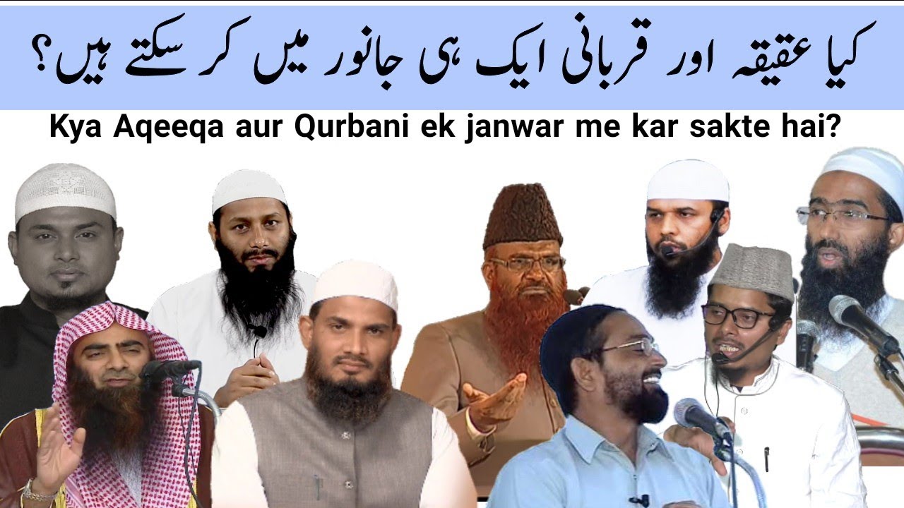 Kya aqeeqa aur qurbani ek janwar me kar sakte hai?