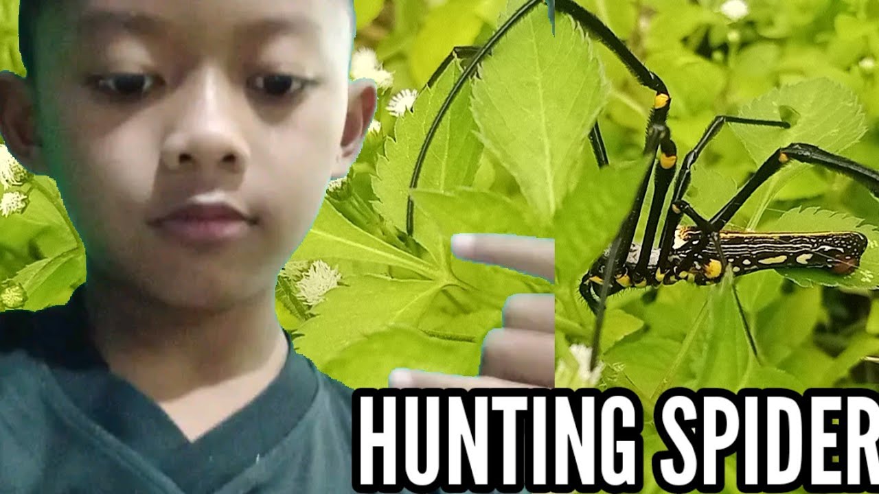 EPS 09 KAMAL HUNTING GOOD LUCK FOR YOUR END OF THE BEST FRIEND FOREVER LOVE YOU ARE 