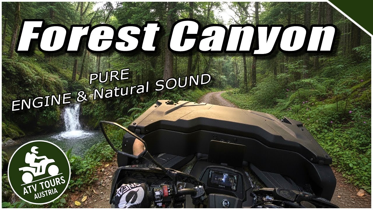POV: CFMOTO Cforce 520L – Hidden Forest Canyon – ASMR Quad & Hiking Ride | No Talking | 4K