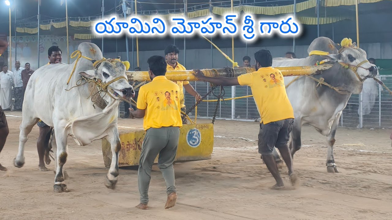 చిలకలూరిపేట గ్రామం  సబ్ జూనియర్ విభాగం 10వ జత  💥 కొత్తపాలెం రామారావు గారు 💥