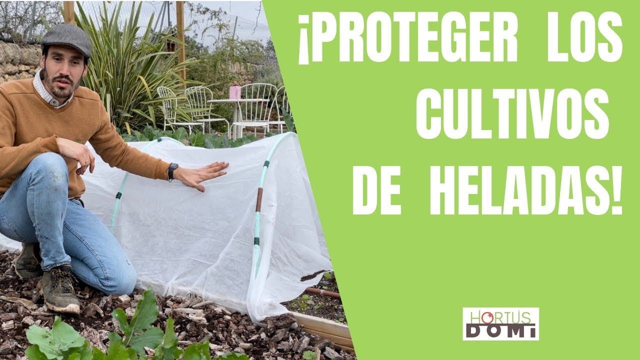 Cómo proteger los cultivos de las heladas.