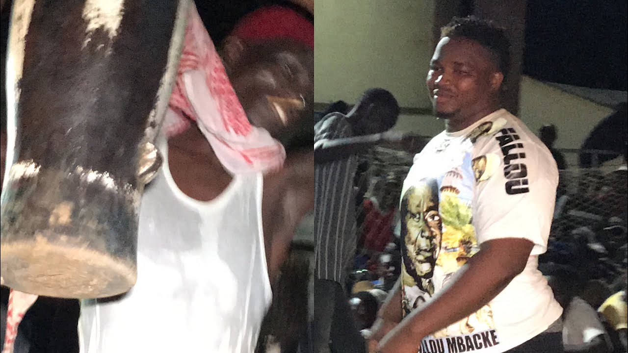 TOKO OUSMANE yengalna DIOFIOR face à DOUDOU SANÉ MBAPAT KASS PRODUCTION le 28 JUIN 2023
