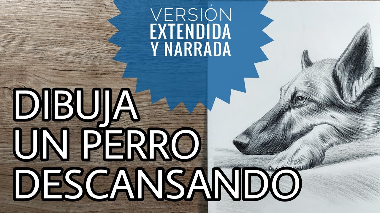 DIBUJA un PERRO DESCANSANDO 🐕 (NARRADO 🎤) Versión Extendida
