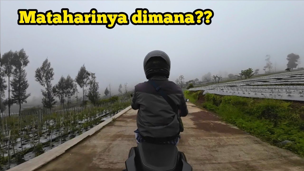 Jalur menuju Embung Bansari Temanggung, Menanjak dengan View Perkebunan
