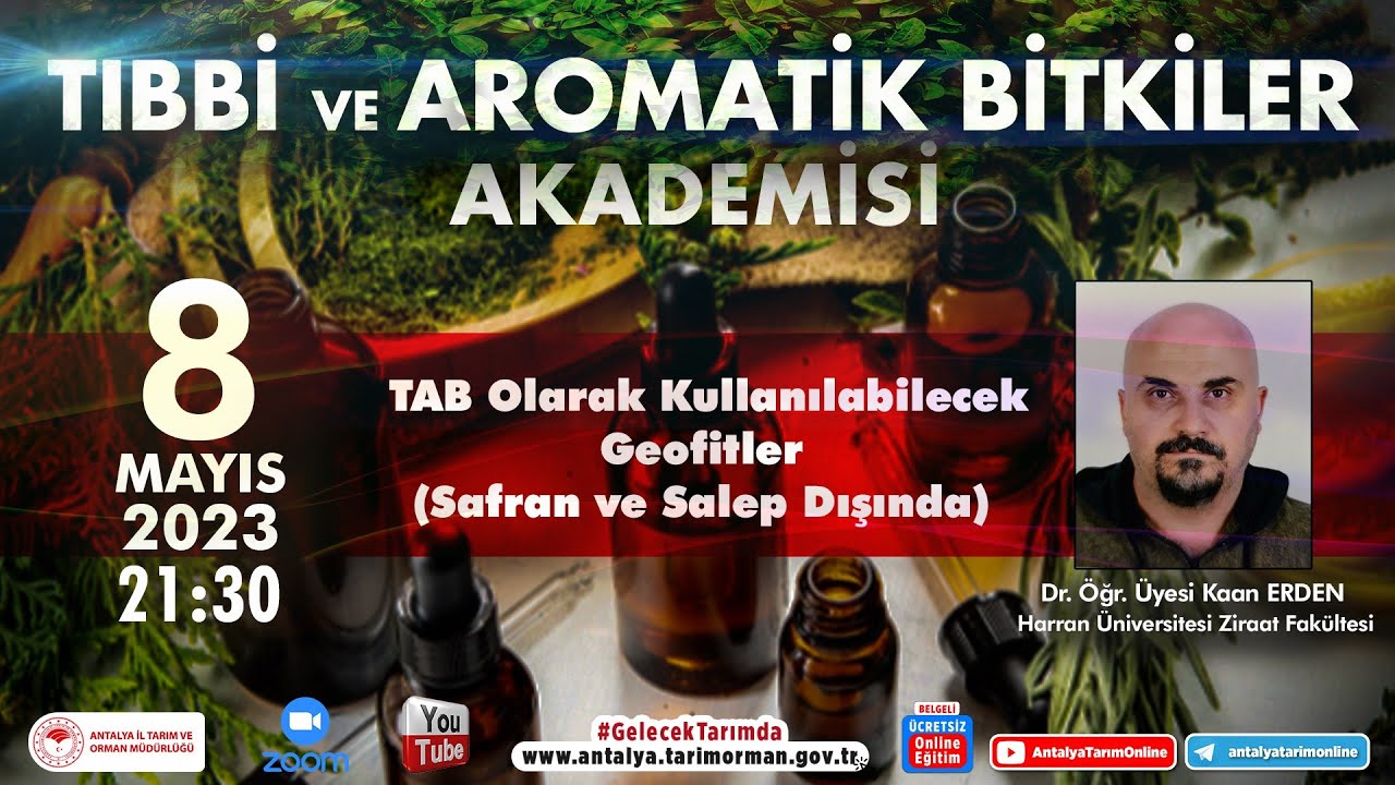 Tıbbi ve Aromatik Bitkiler Akademisi-37 TAB Olarak Kullanılabilecek Geofitler(Safran ve Salep Dışın