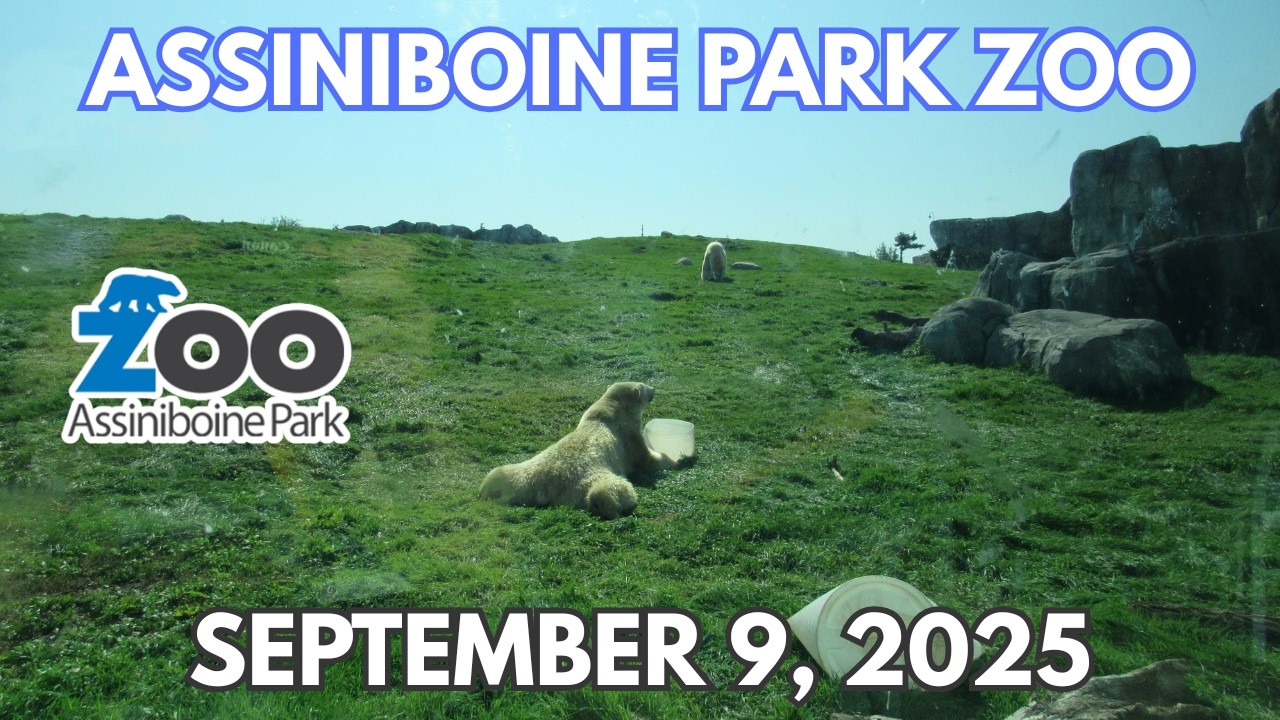 Assiniboine Park Zoo | September 9, 2025