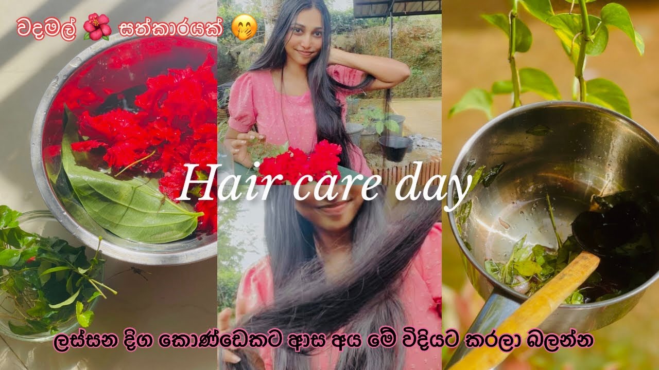 බලාගෙන ඉද්දී කොණ්ඩේ වැවෙන රහස🌺💗🌿 දිග කොණ්ඩෙකට ආස ඔයාලට 🥹💘 #hairgrowthtips #longhair #herbaloil 