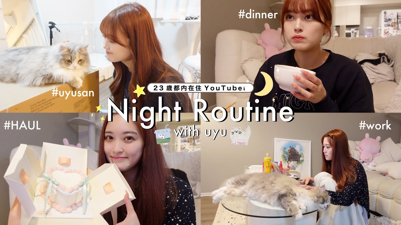🌛猫ちゃんと過ごすナイトルーティン🐈23歳都内在住YouTuberの生活🍚
