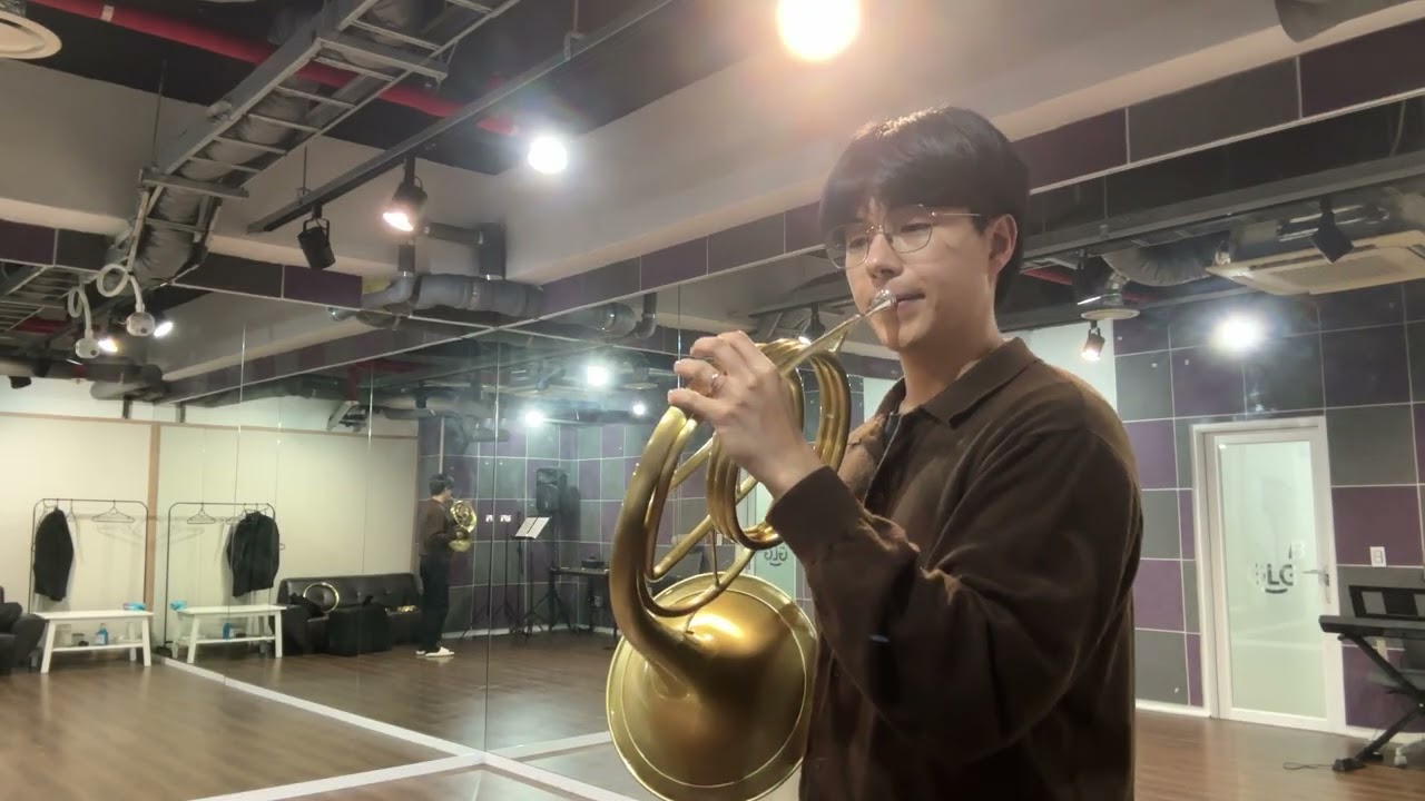Sinfonia Concertante, K. 297b (Movement III)