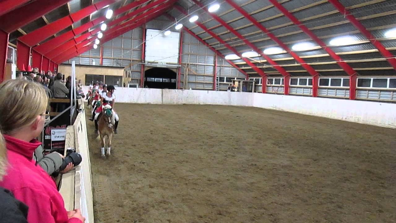 Haflinger DM 2013