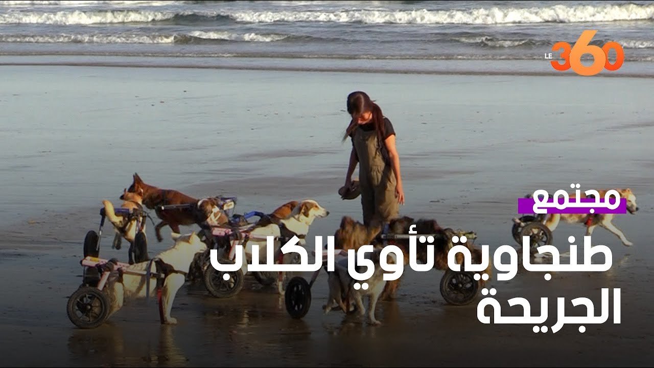 سليمة القضاوي  