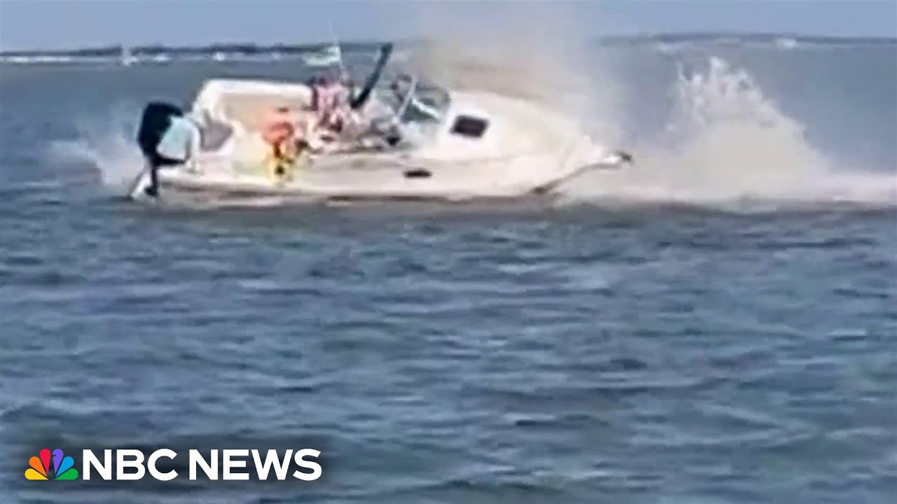 Boat and whale collision off Jersey Shore coast