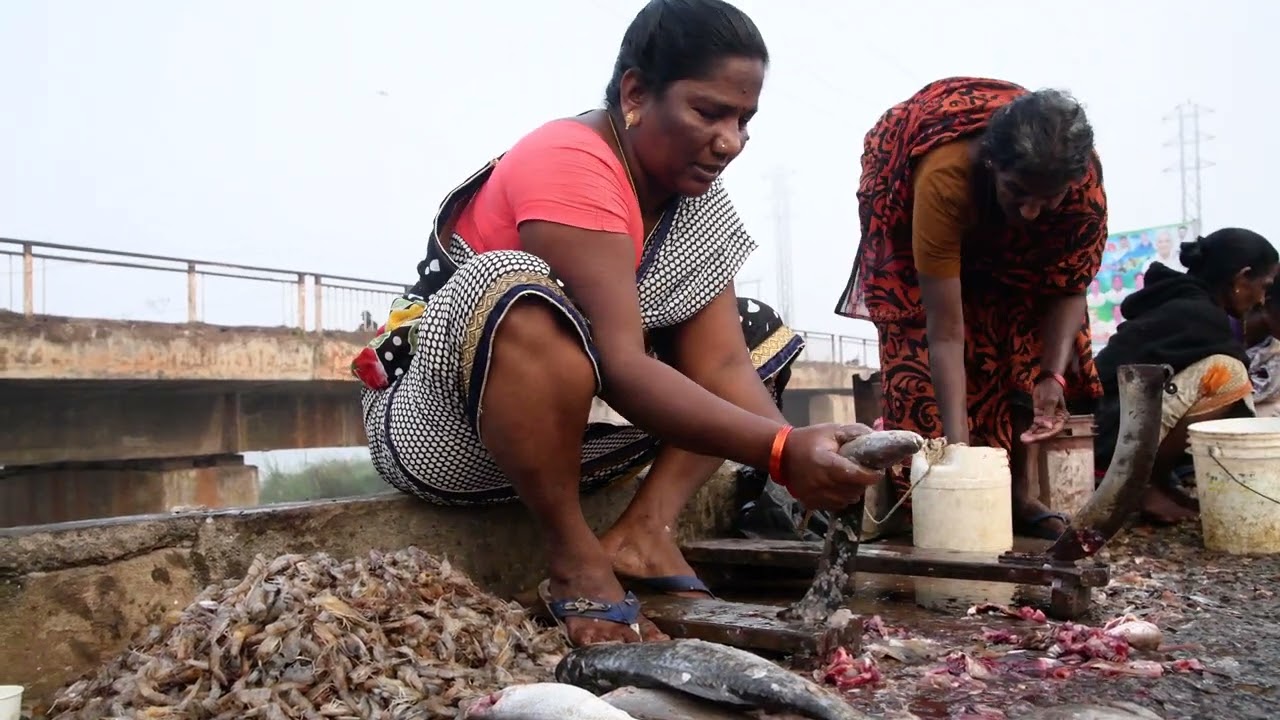 Amazing Big Fish cutting Skills by Village Woman |chirala fish market