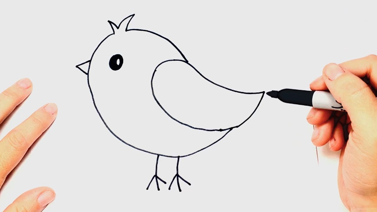 Como dibujar un P&aacute;jaro muy f&aacute;cil Paso a Paso